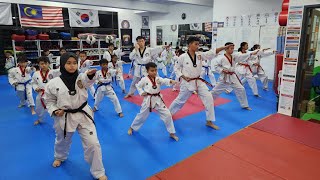 STEALTH TAEKWONDO  Taekwondo Training in Stealth Prime Centre Denai Alam [upl. by Menard]