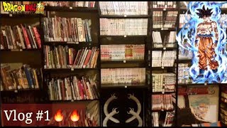 Wholesome Manga Store in Mumbai VLOG1 [upl. by Nabala874]