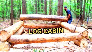 Small Log Cabin Part 1  bushcraft survival shelter [upl. by Fritze]