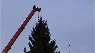 Es wird weihnachtlich Der Christbaum am Neuen Platz wird gerade aufgestellt 🌲🌲🌲 [upl. by Namara]