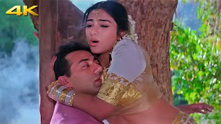 Jab Jab Dekhu Tujhko Saiyan 4K Video  Himmat  Alka Yagnik Udit Narayan Romantic Song [upl. by Clevey]