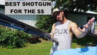 My Opinion On The Best Waterfowl Shotgun For The Money [upl. by Esertal715]