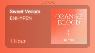 1 HOUR ENHYPEN  Sweet Venom [upl. by Lemuela]