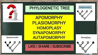 Apomorphy Plasiomorphy Homoplasy Synapomorphy Autapomorphy  Phylogenetic tree [upl. by Hedwig584]