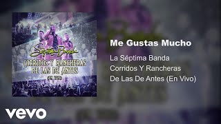 La Séptima Banda  Me Gustas Mucho Audio  En Vivo [upl. by Giliane]