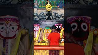 Shri Jagannath MandirHauz khas🕉️🌸 delhi song delhitravelguide love mandir jagannath [upl. by Feer]