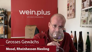 Grosses Gewächs  Nachproben 2024  Mosel Rheinhessen Riesling [upl. by Soilissav]