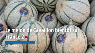 Le melon de Cavaillon bientôt quotSur la route des vacancesquot sur France 2 à la miaoût [upl. by Gibbeon]