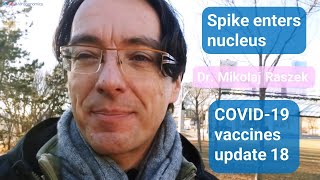 Spike protein inside nucleus enhancing DNA damage  COVID19 mRNA vaccines update 18 [upl. by Takken]