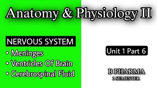 MENINGES  VENTRICLE OF BRAIN  CEREBROSPINAL FLUID  CSF  ANATOMY AND PHYSIOLOGY  CNS  B PHARMA [upl. by Nwadal]