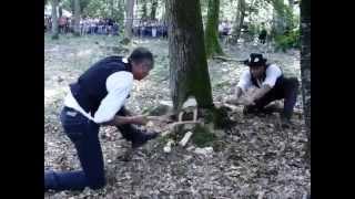 Paucourt  Fête de la Forêt 2014  Abattage dun chêne au passepartout et à la cognée [upl. by Inimod]