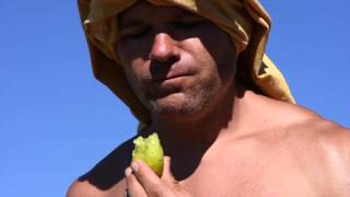 Survival How to eat barrel cactus fruit in the wild [upl. by Rebmac]