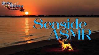 OSRS ASMR Cooking at the Beach [upl. by Elokin456]