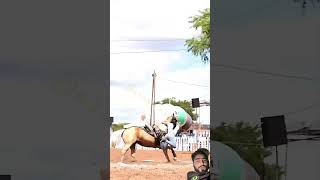 horse rodeo horseriding horselover equestrian alk00n soundhorse animalsounds cowhorse [upl. by Ginny]