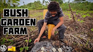 Plantation Work Clearing Land amp Planting Yams On Our TARO FARM On NIUE ISLAND [upl. by Junie391]