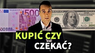 Dolary i Euro w 2024 Czas Warto Kupić Nowe Prognozy Dla Walut Na Koniec Roku [upl. by Atived]