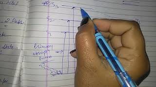 Jablonski diagram  Chem kinetics lect 14 by cs [upl. by Catima722]