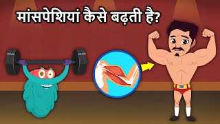 मांसपेशियां कैसे बढ़ती है  How Your Muscles Grow In Hindi  Dr Binocs Show [upl. by Nivram]