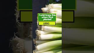 GROWING LEEKS Here is the most IMPORTANT thing to know [upl. by Vassell852]