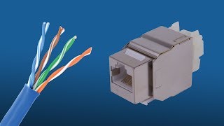 ConnecTec Cat Terminations Series Part 3  CAT6 Shielded Keystone Jack [upl. by Courtund]