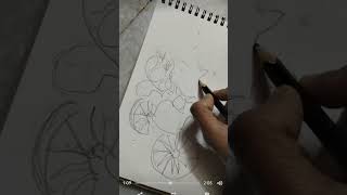 Pineapple seller drawing process easily [upl. by Culberson]