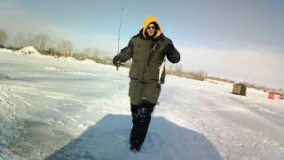 WALLEYE ON THE SAGINAW RIVER [upl. by Myles]