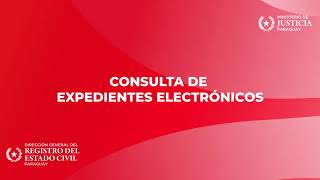 ¡Ya está disponible la Consulta de Expedientes Electrónicos en la página web del REC [upl. by Yran]