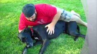 RIP Malachi Tribute To Shaytards Dog [upl. by Gilmer]