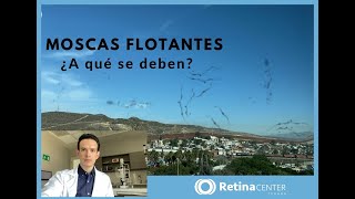 Causas de Moscas Flotantes en la Visión  Oftalmólogo Tijuana  Especialistas en Retina [upl. by Arrait]