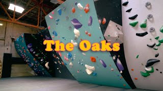 Checking out Californias Newest Bouldering Gym  The Oaks [upl. by Callean]