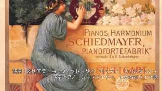 Schiedmayer Piano シードマイヤー ピアノ [upl. by Siram488]