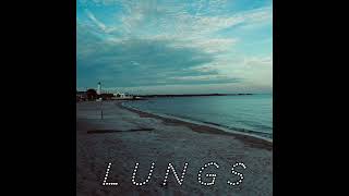 Lungs Townes Van Zandt Cover  Michael S [upl. by Troy67]