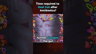 Healing the Gut after Antibiotics Time frame guthealing guthealth [upl. by Etteniuq]