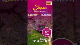 Japan Tour  Smiles Holidays  Tours amp Travel Company  Pune [upl. by Nerland]