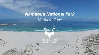 Namaqua National Park where to coast meets the greatest flower show on earth [upl. by Russo]