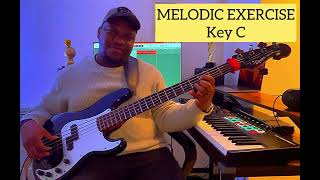 MELODIC BASS EXERCISE [upl. by Orva]