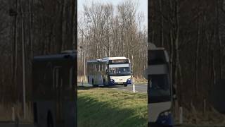 Arriva 8555 te Holwerd provinciale weg [upl. by Ynaffital]