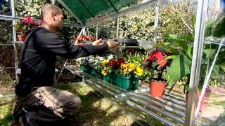 Allotment Greenhouse Staging from Palram [upl. by Chew]