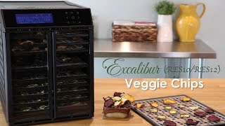 Excalibur Veggie Chips Recipe [upl. by Etnoled484]