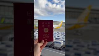 【Vlog】Narita airport→Changi airport✈️ [upl. by Bounds496]