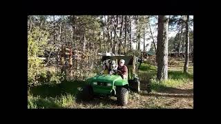 Great Dane riding in a John Deere Gater [upl. by Aible510]