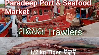 Paradeep Port Fishing Trawlers amp Seafood export market [upl. by Notfa]