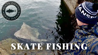 Skate Fishing Scotland A Highland Monster [upl. by Sclater220]