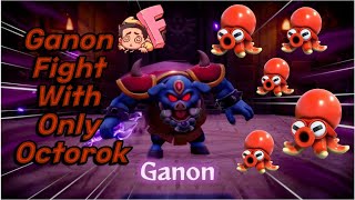 Ganon Fight with only OCTOROKS Legend of Zelda Echoes of Wisdom [upl. by Ebneter]