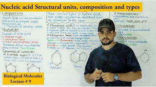 Introduction to nucleic acid and nucleotide  types of nucleotides [upl. by Aniles344]