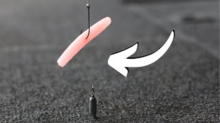 MOST Guys Get This WRONG Drop Shot Fishing [upl. by Shuping]