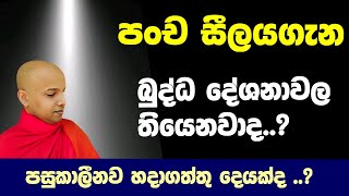 පංච සීලය බුද්ධ දේශනාවල තියෙනවාද   පංච සීලය පස්සෙ හදාගත්තු දෙයක්ද panch silaya [upl. by Tadeas]