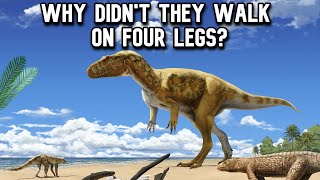 Why Were All Theropods Bipedal [upl. by Osithe]