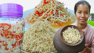 បណ្តុះសណ្តែកធ្វើជ្រក់ Making Been Sprouts and Pickled [upl. by Goody]