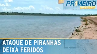 Ataque de piranhas deixa mais de 10 feridos no interior de SP  Primeiro Impacto 040324 [upl. by Craner]